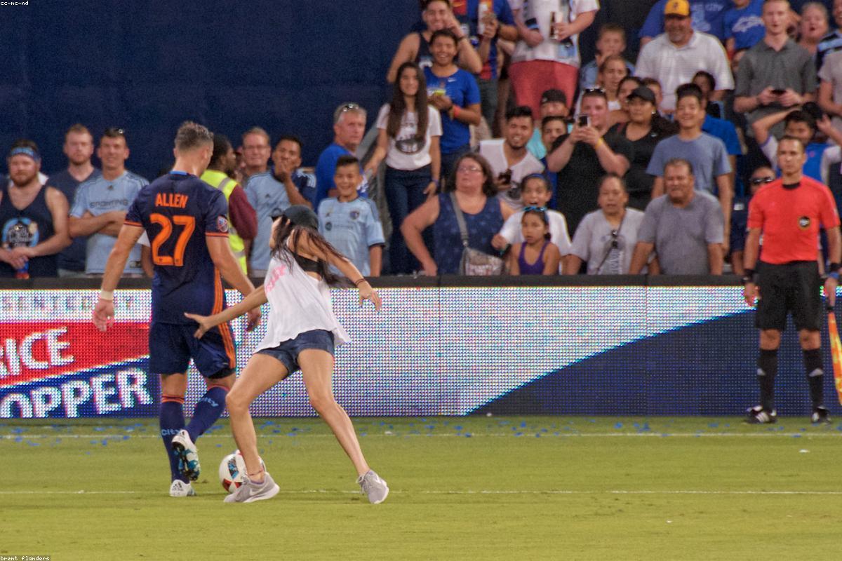 世界杯分组解读